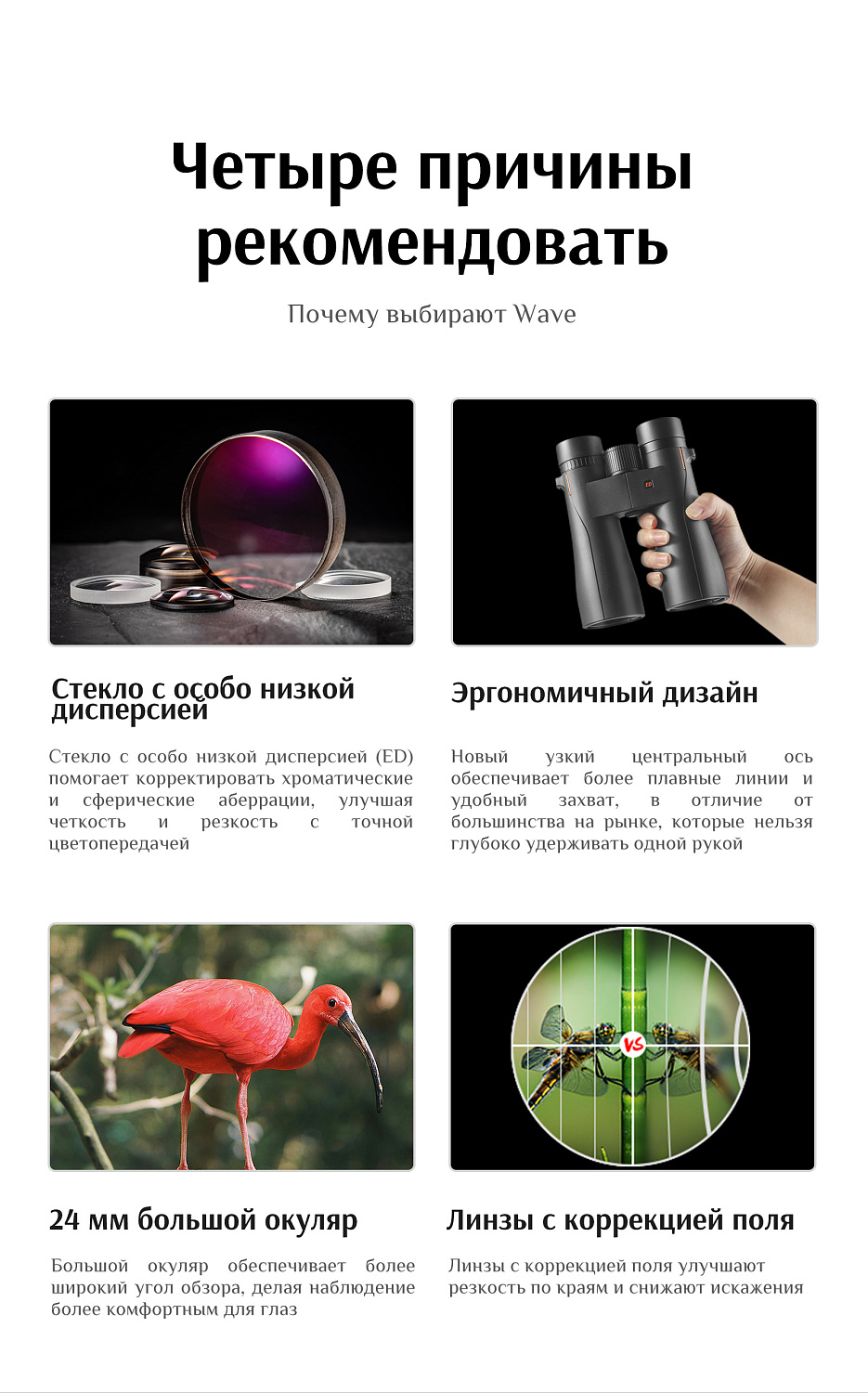 Бинокль Eyeskey Wave ED-10x50