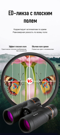 Бинокль Eyeskey Stellar - 10x42 EyeS-B155 от прозводителя Eyeskey